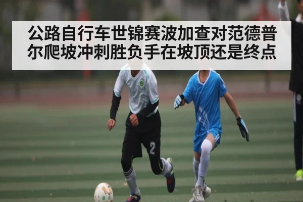 公路自行车世锦赛波加查对范德普尔爬坡冲刺胜负手在坡顶还是终点 - ng28.h5