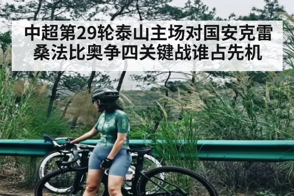 中超第29轮泰山主场对国安克雷桑法比奥争四关键战谁占先机 - ng28.h5